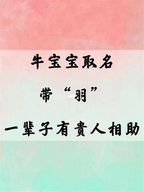 名字的意義|名字寓意分析